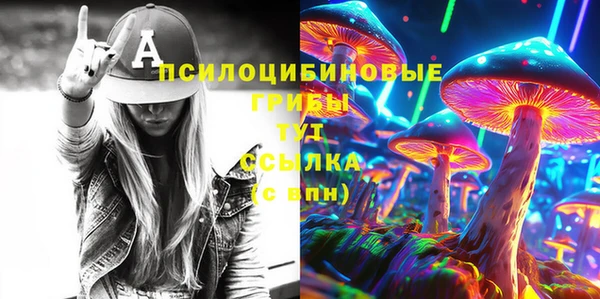 ГАЛЛЮЦИНОГЕННЫЕ ГРИБЫ Волоколамск