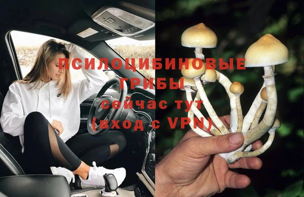 ГАЛЛЮЦИНОГЕННЫЕ ГРИБЫ Волоколамск