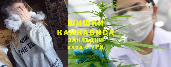 ГАЛЛЮЦИНОГЕННЫЕ ГРИБЫ Вяземский